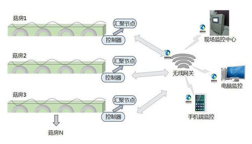 四川智能食用菌菇房管理系統 科技賦能精準脫貧新路徑